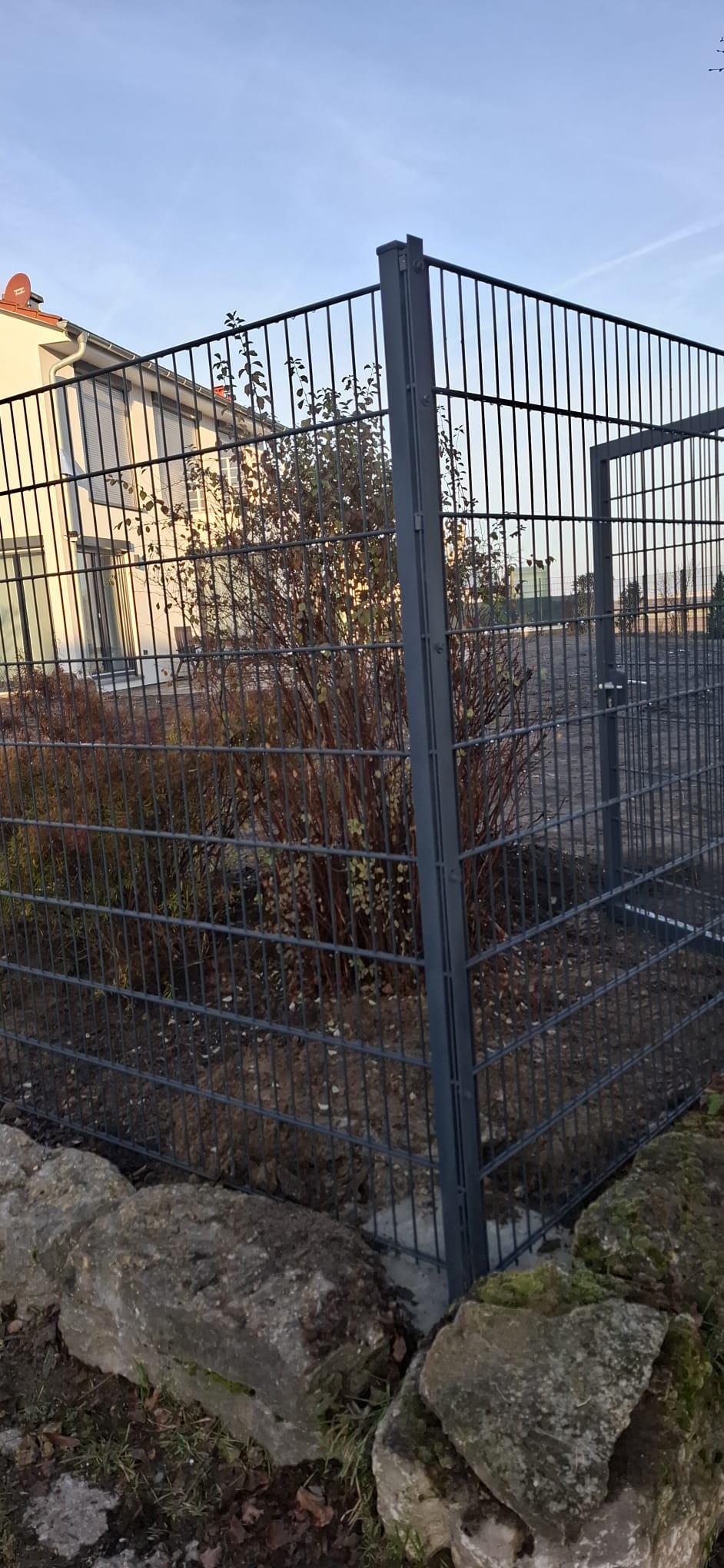 Doppelstabmatte Kleinlangheim Bild 2